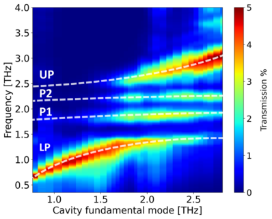 Towards entry "Multimode vibrational coupling across the insulator-to-metal transition in 1T-TaS2 in THz cavities"